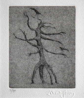 Garden Ornament
Edition of 99 numbered prints. Printed posthumously.
